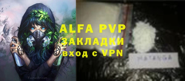 тгк Богданович
