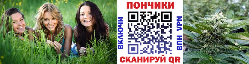 Купить закладки  Лодейное Поле  Шишки марихуана Bruce Banner 